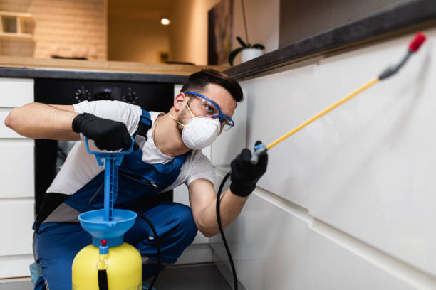 Best Pest Removal Services  in Lake Sarasota, FL