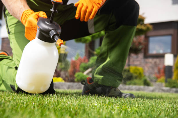 Best Bed Bug Extermination  in Lake Sarasota, FL