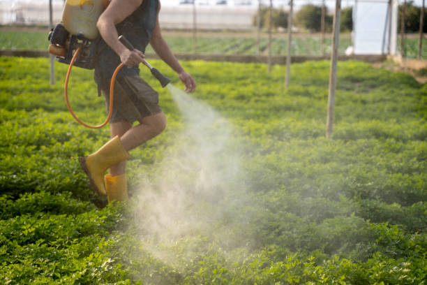 Best Local Pest Control Services  in Lake Sarasota, FL