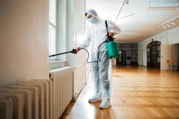 Best Termite Control Services  in Lake Sarasota, FL