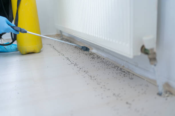 Reliable Lake Sarasota, FL Pest Control Solutions