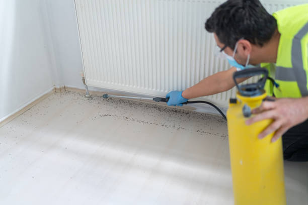 Best Pest Control Treatment  in Lake Sarasota, FL